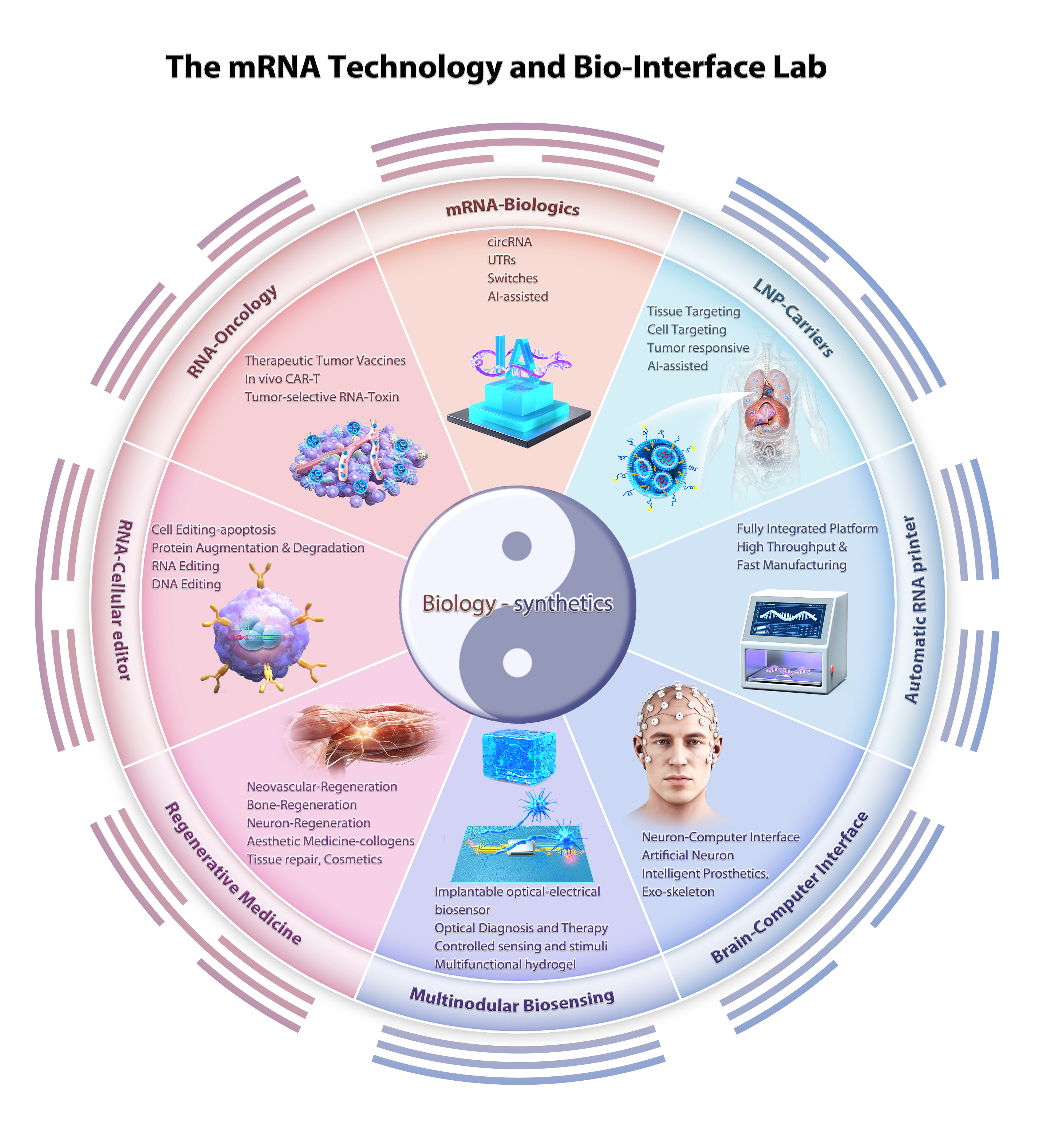 研究架构总览图